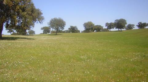 Foto 5 de Finca rústica en venda a Nombela, Toledo
