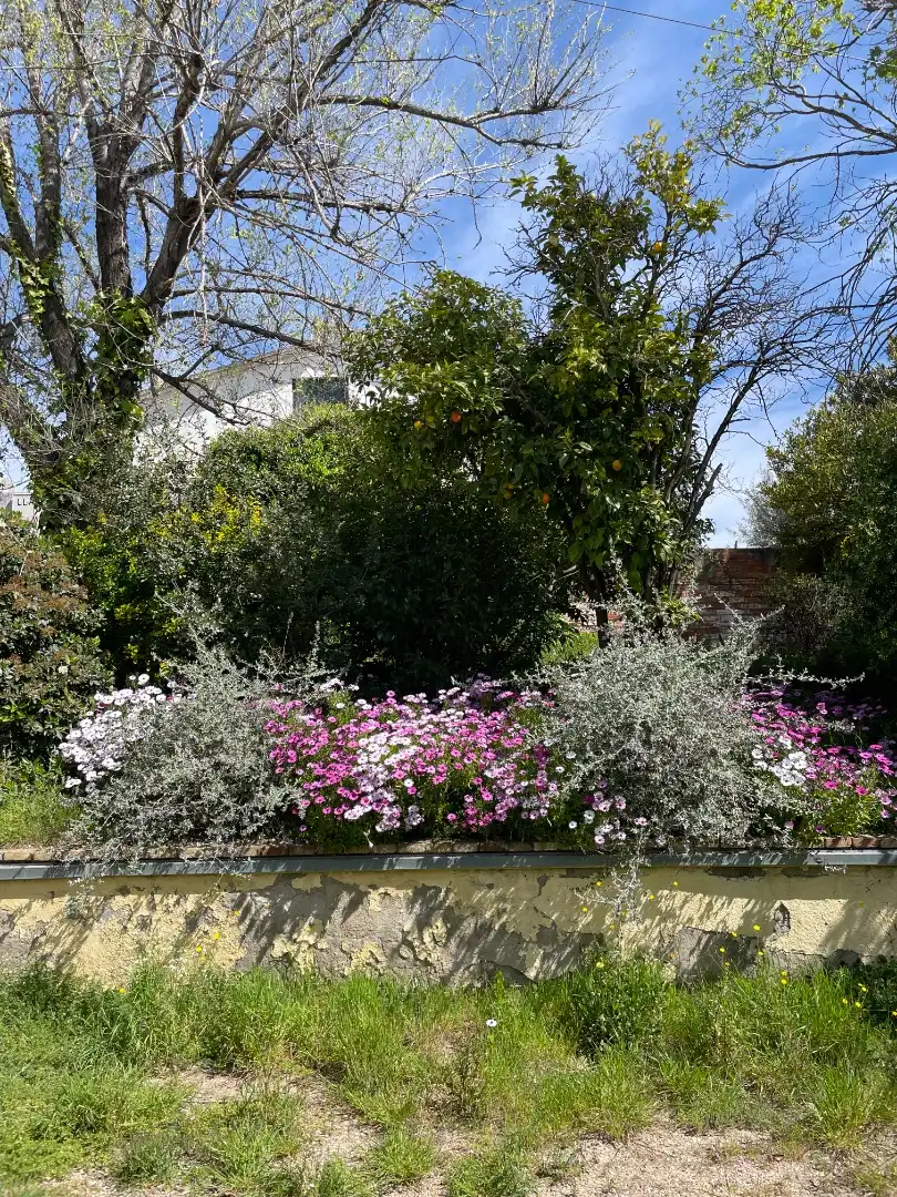 Jardí de Casa o xalet en venda en Cerdanyola del Vallès amb Calefacció, Jardí privat i Traster