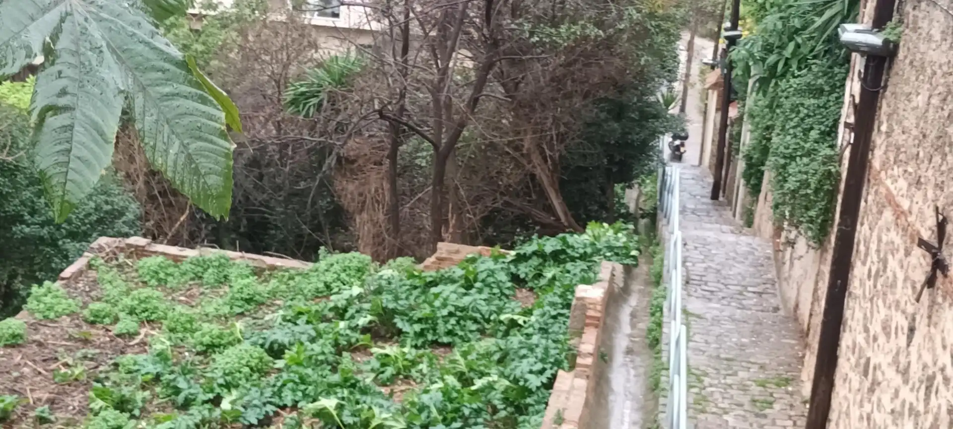 Jardín de Residencial en venta en Barcelona