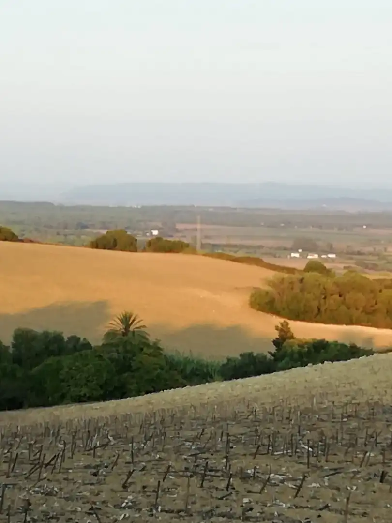 Casa rústica en venda a Vejer, imagen 17
