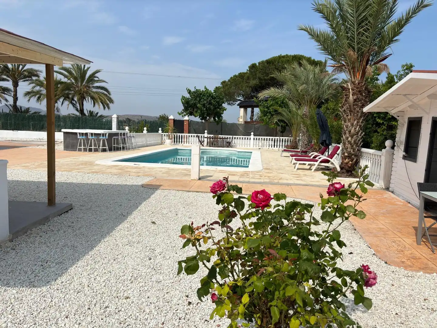 Piscina de Casa o xalet en venda en Elche / Elx amb Aire condicionat, Jardí privat i Terrassa