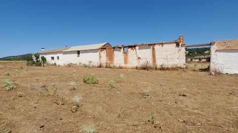 Finca Rúst. en venta en Ciudad Real., immagine 3