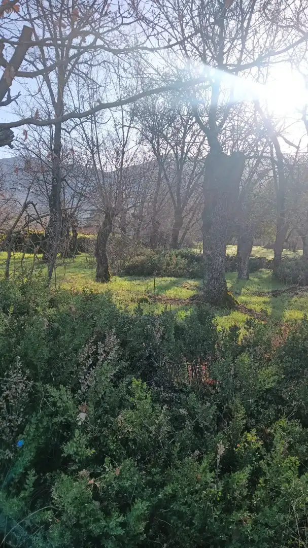 Terreni e lotti in vendita a Hervás, imagen 2
