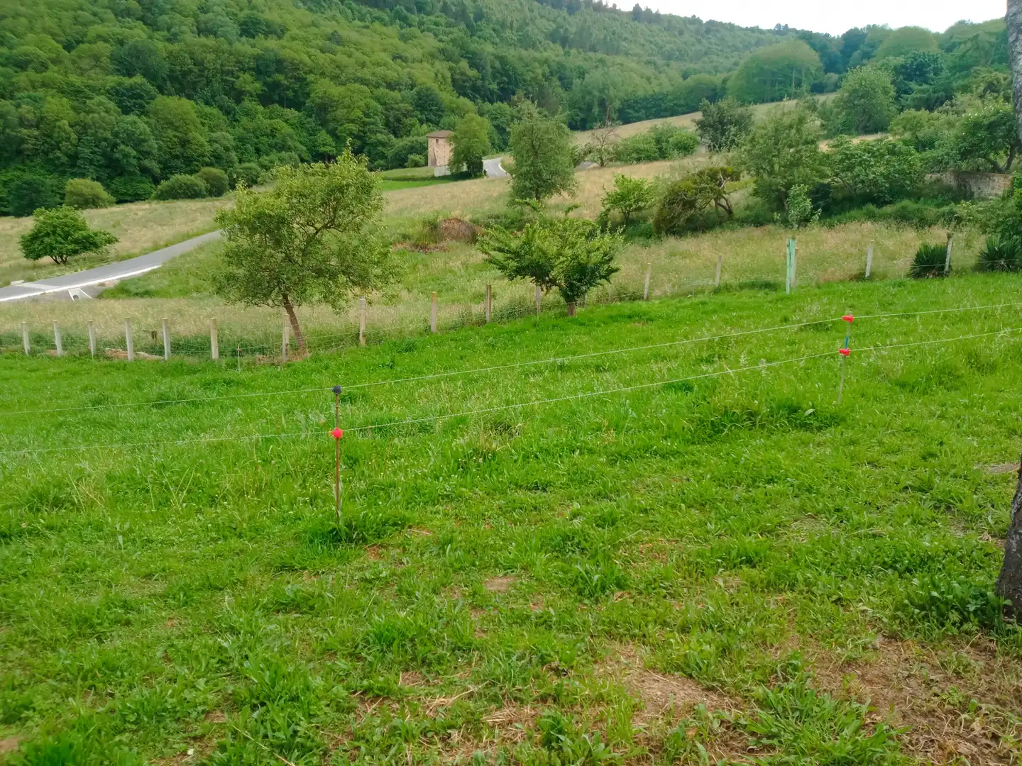 Finca rústica en venta en Tineo con Jardín privado, Parquet y Terraza