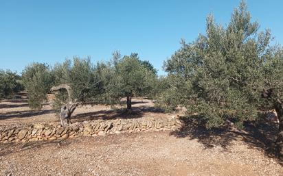 Finca rústica en venda en Camarles