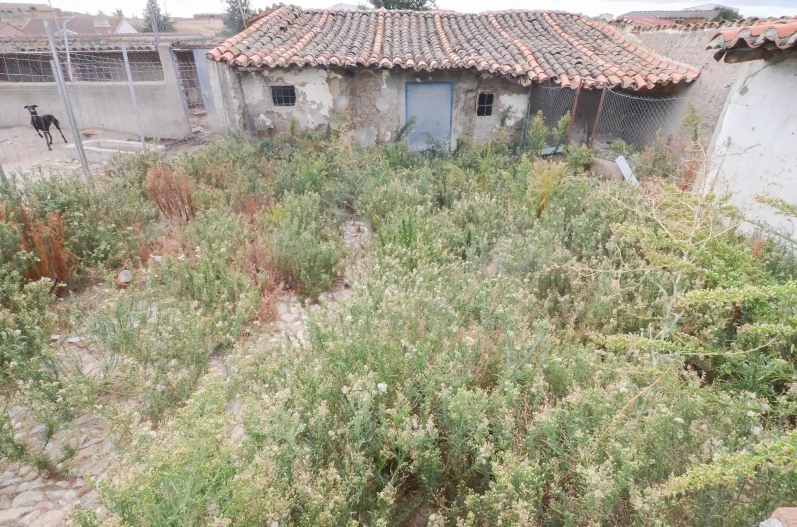 Casa o xalet en venda a Macotera