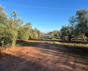 Land for sale in Linares