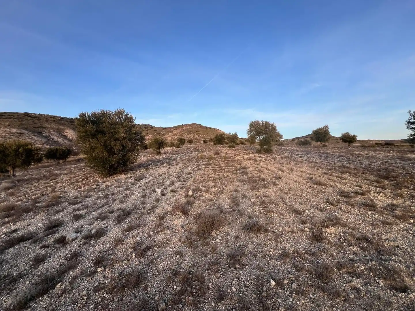 Rural land for sale in Polígono, imagen 5