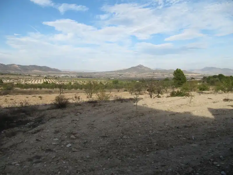 Casa rústica en venda a Monóvar  / Monòver, imagen 18