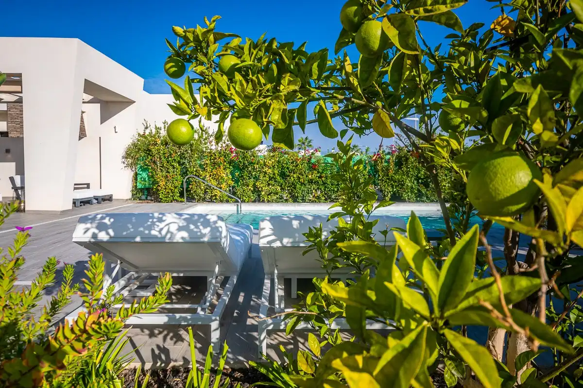Casa con piscina in vendita a Algorfa, imagen 11