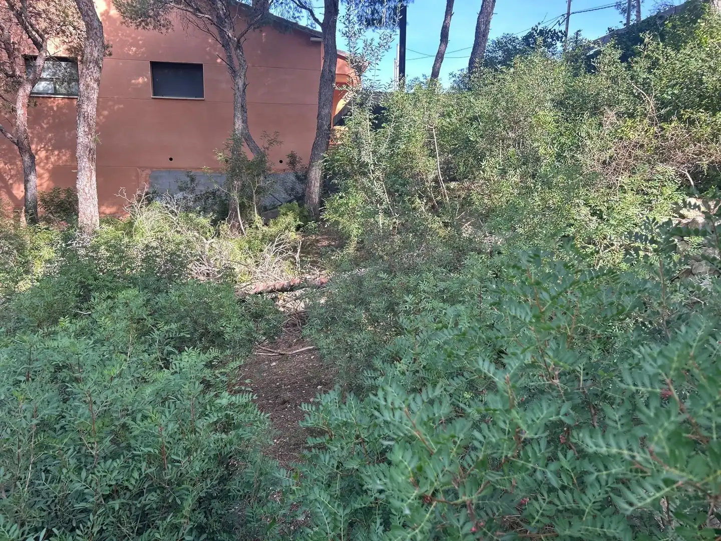 Lands and plots for sale in Segur de Calafell, imagen 15