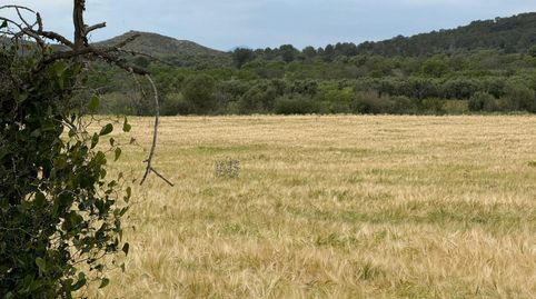 Finca Rúst. en venta en Masllorenç., imatge 4
