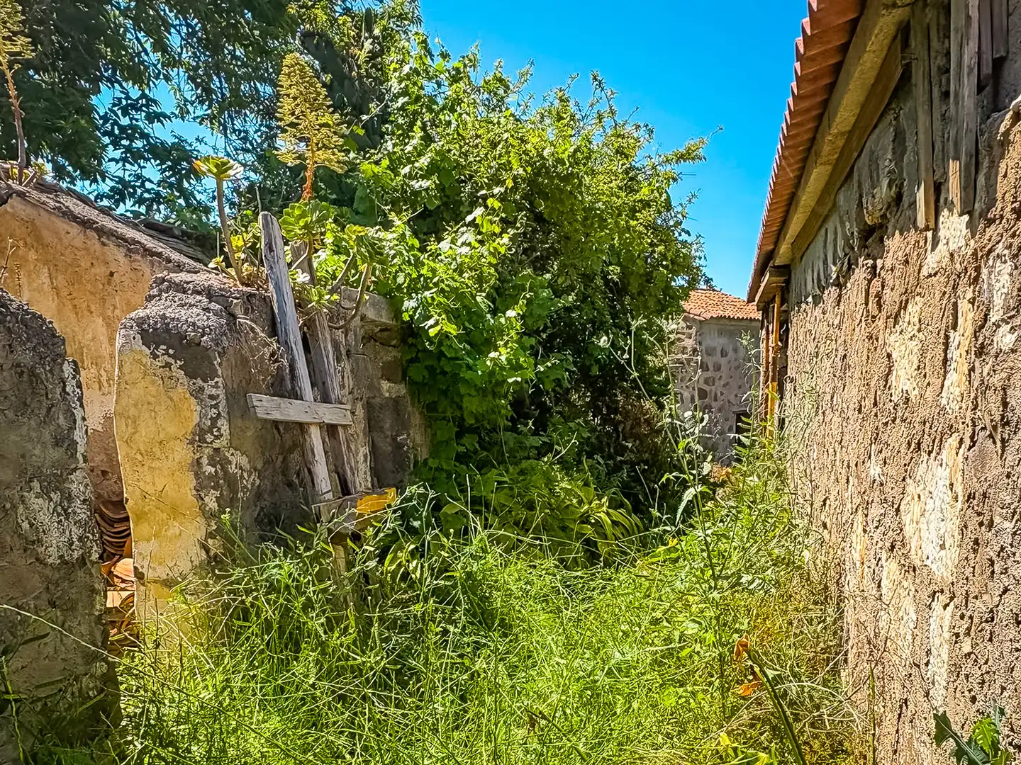 Casa o chalet en venta en Valleseco