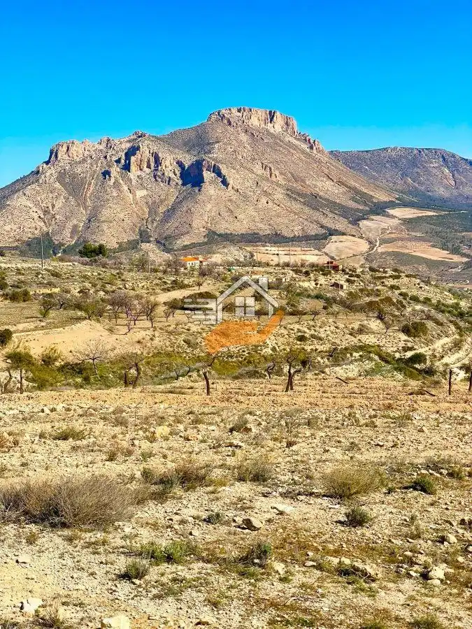 Terrenos y solares en venta en Vélez-Blanco, imagen 10
