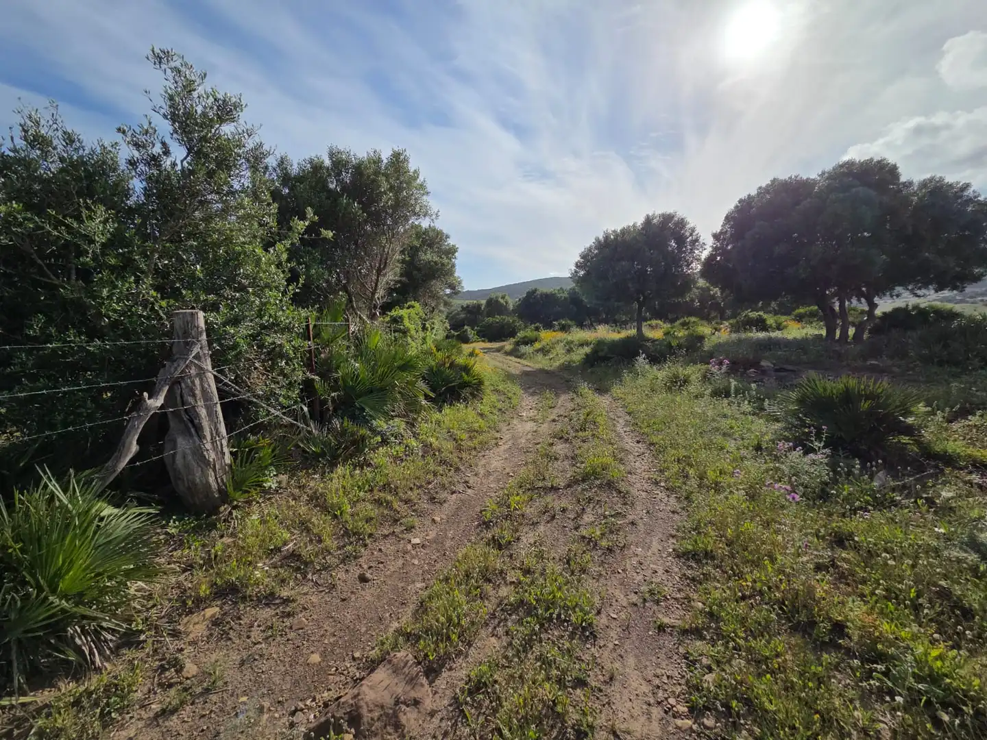 Terreno en venta en Tarifa