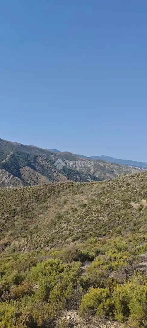 Rustikales Grundstück zum Verkauf in Pinos Genil, imagen 16