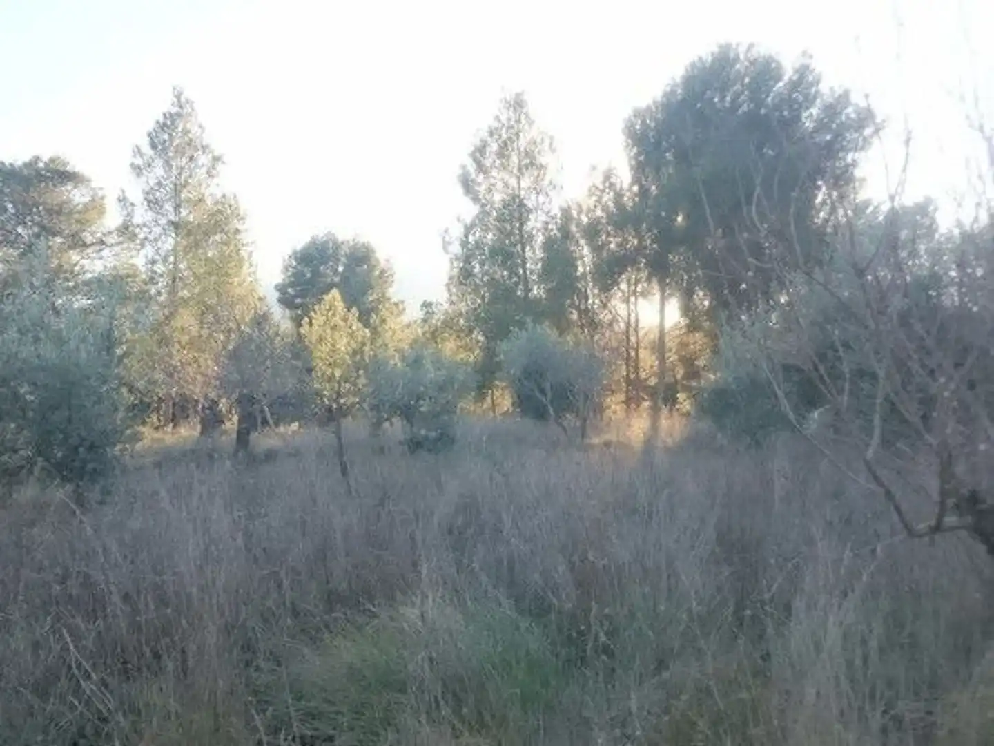 Terreni e lotti in vendita a Moratalla, imagen 8