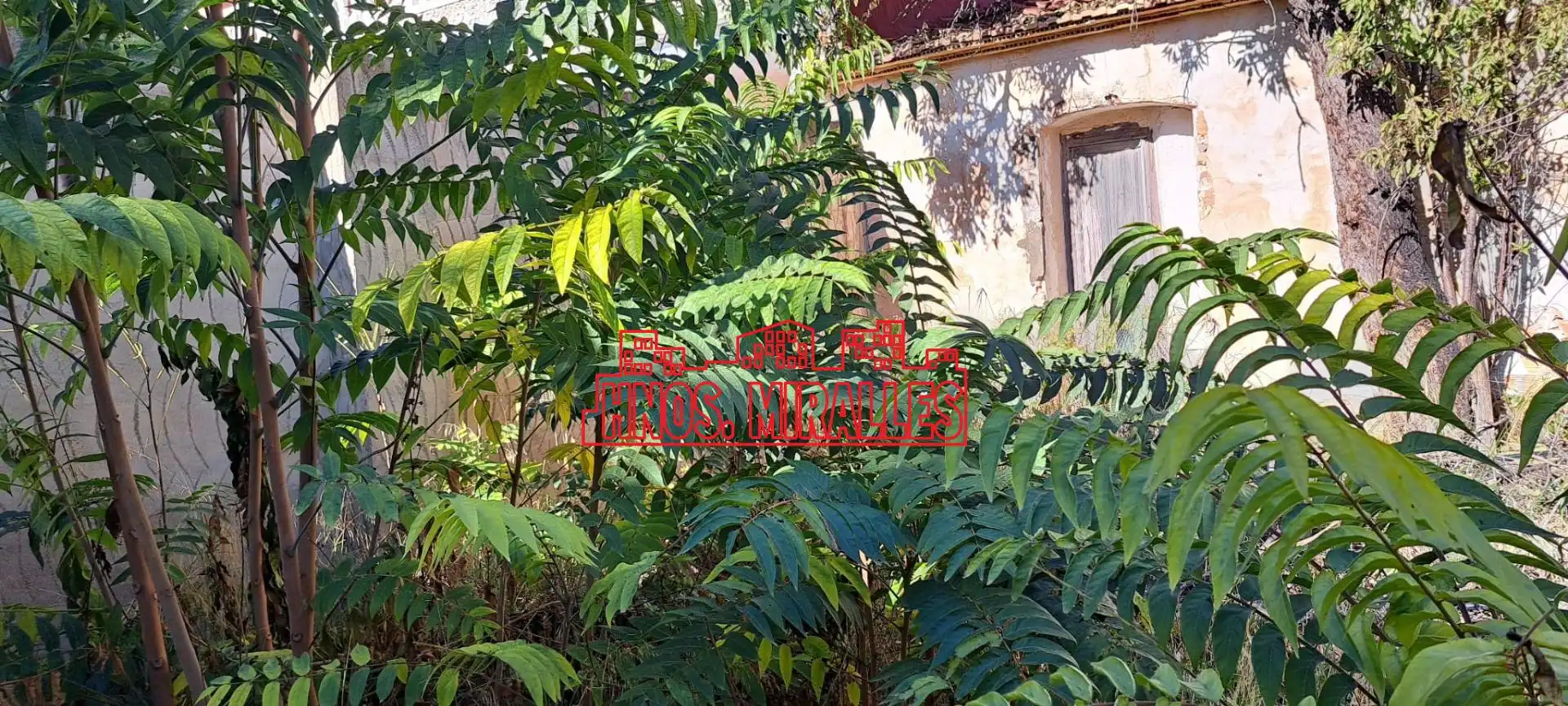 Exterior view of Commercial properties for sale in Hondón de las Nieves / El Fondó de les Neus
