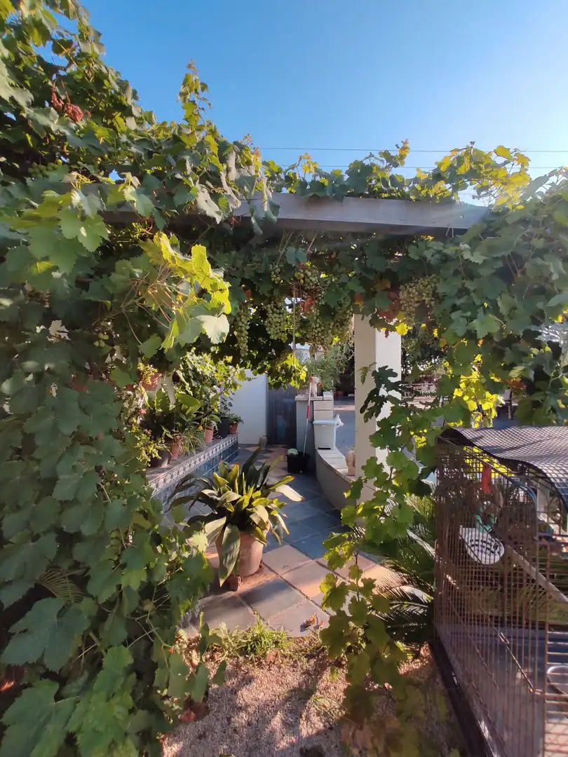 Villa avec piscine à vendre à Partidas de interior - Zona Rústica, imagen 10