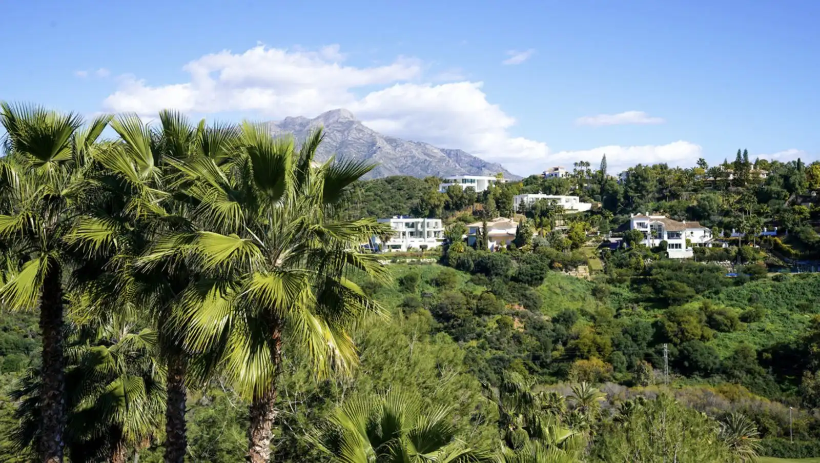 Flat with pool for sale in Nueva Andalucía, imagen 23