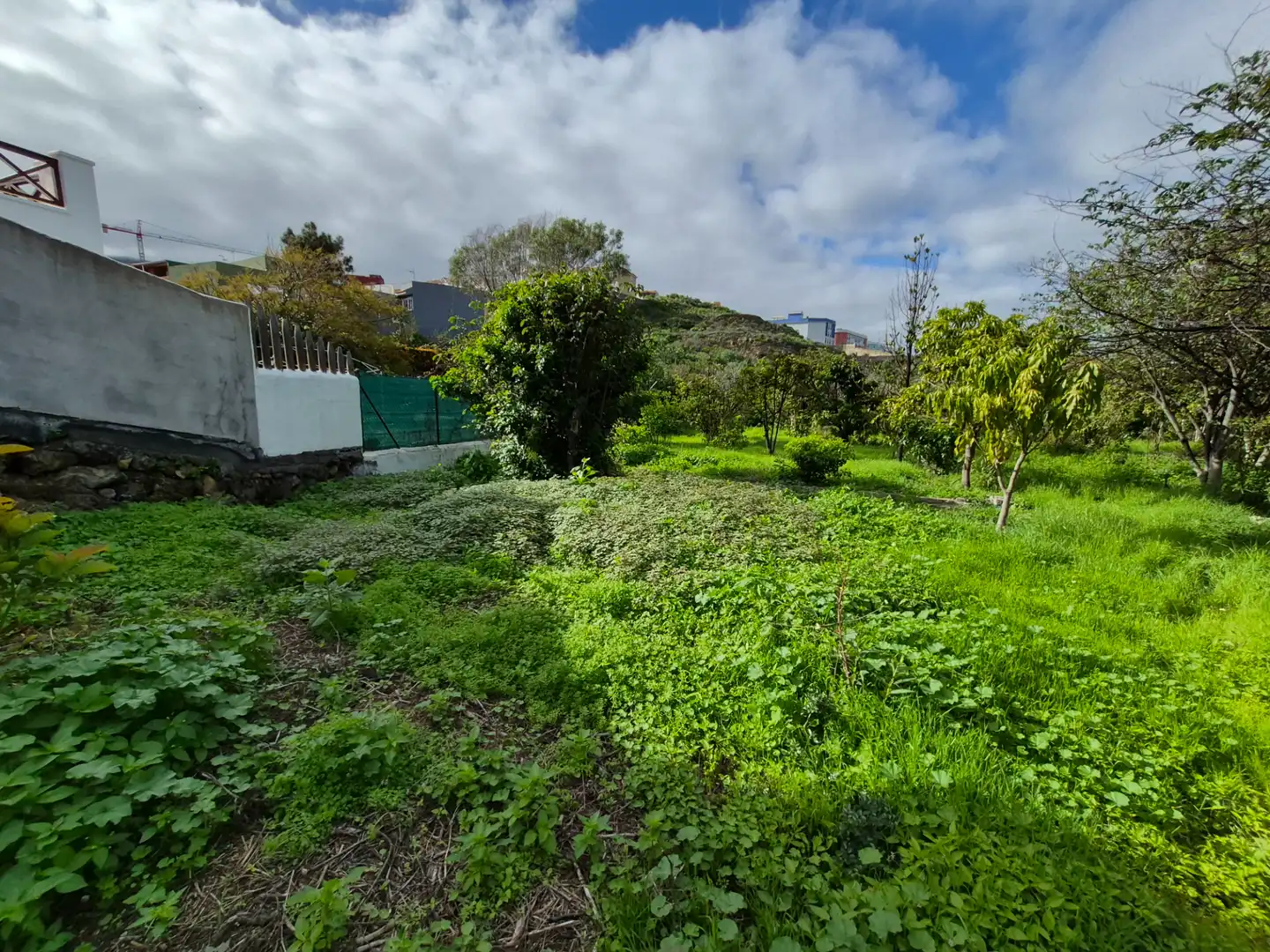 Rural land for sale in Camino la Cueva del Rey, imagen 30