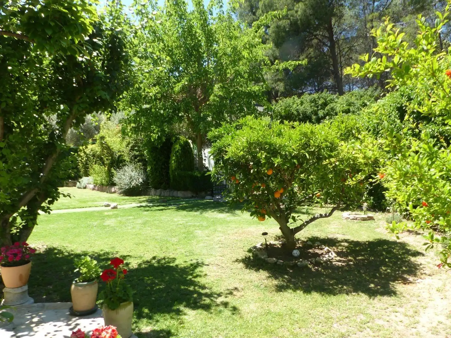 Jardí de Casa o xalet en venda en Náquera amb Aire condicionat, Calefacció i Jardí privat