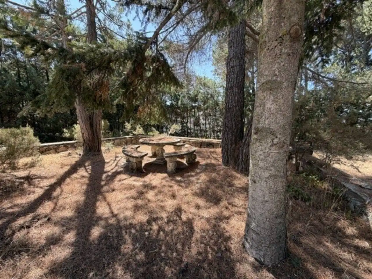 House with garden for sale in Lozoyuela-navas-sieteiglesias, imagen 74