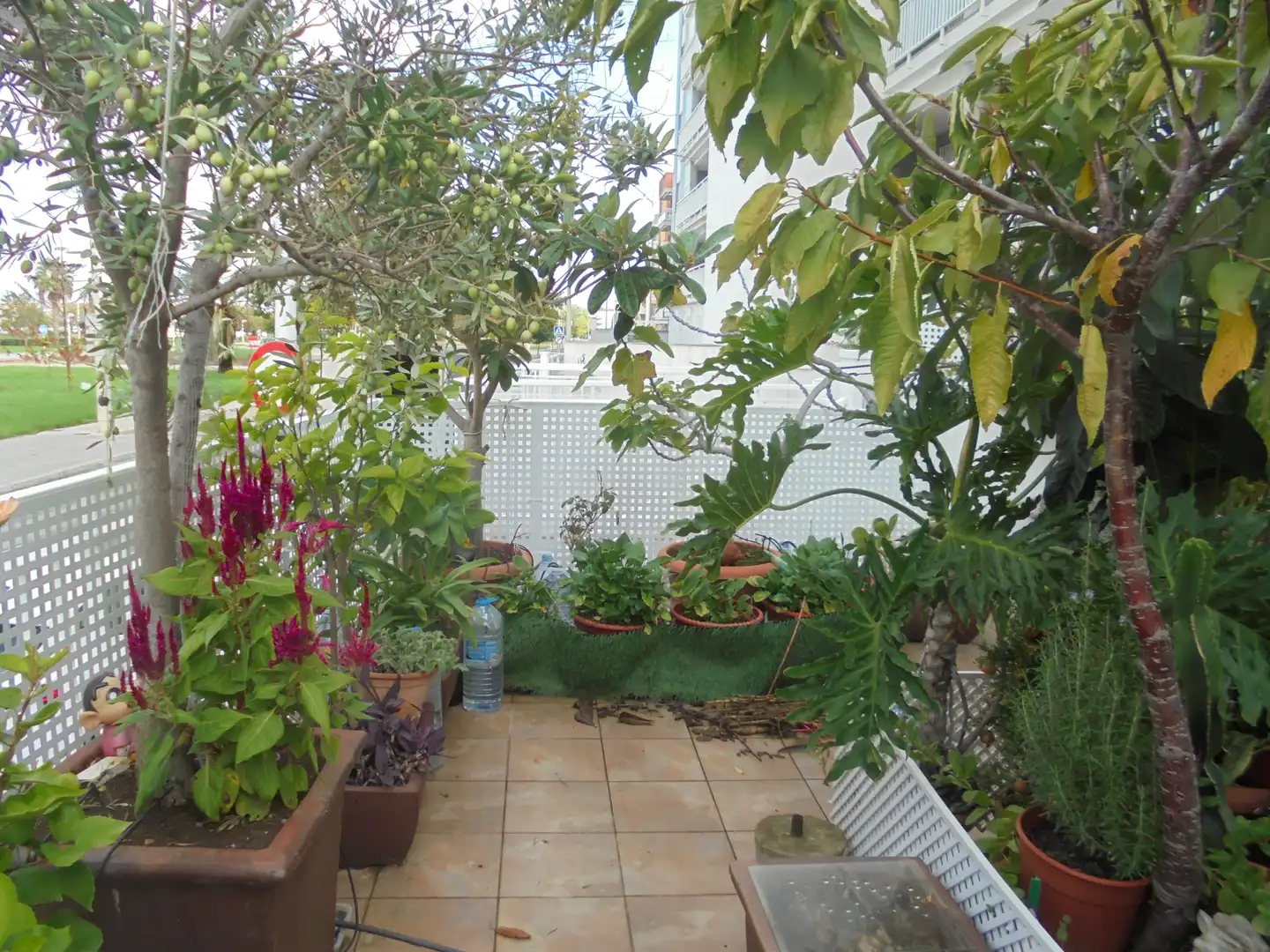 Appartement compact avec ascenseur à vendre à Avinguda de l'Ermita, imagen 37