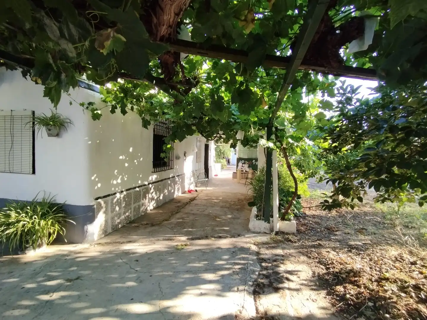Terreny rústic en venda a Cabra