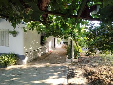 Terreno rustico in vendita a Cabra