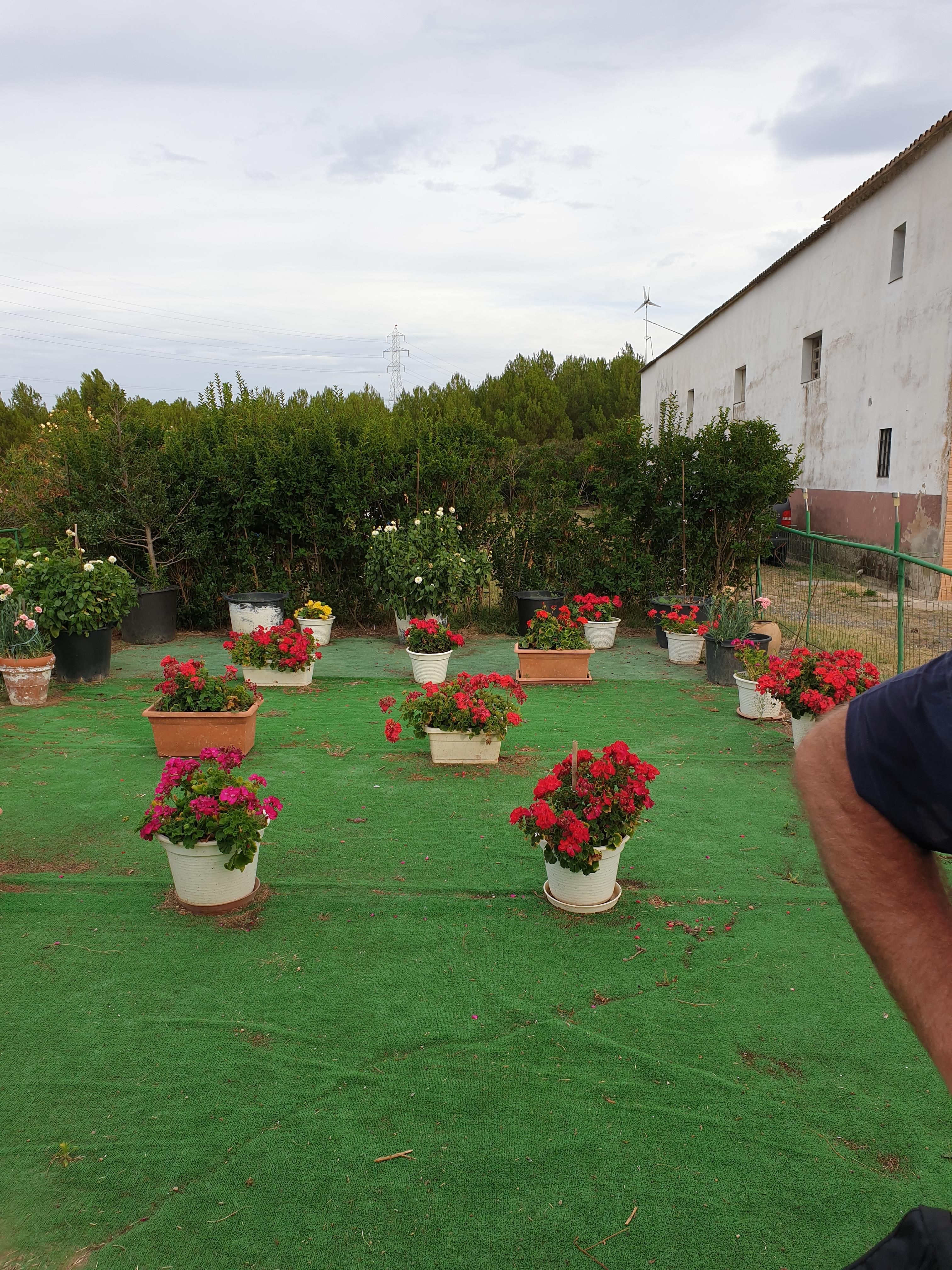 Garden of House or chalet for sale in  Logroño  with Private garden and Furnished