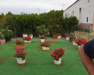 Jardí de Casa o xalet en venda en  Logroño