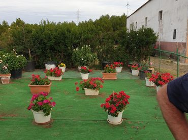 Casa con giardino in vendita a Calle Serradero 26