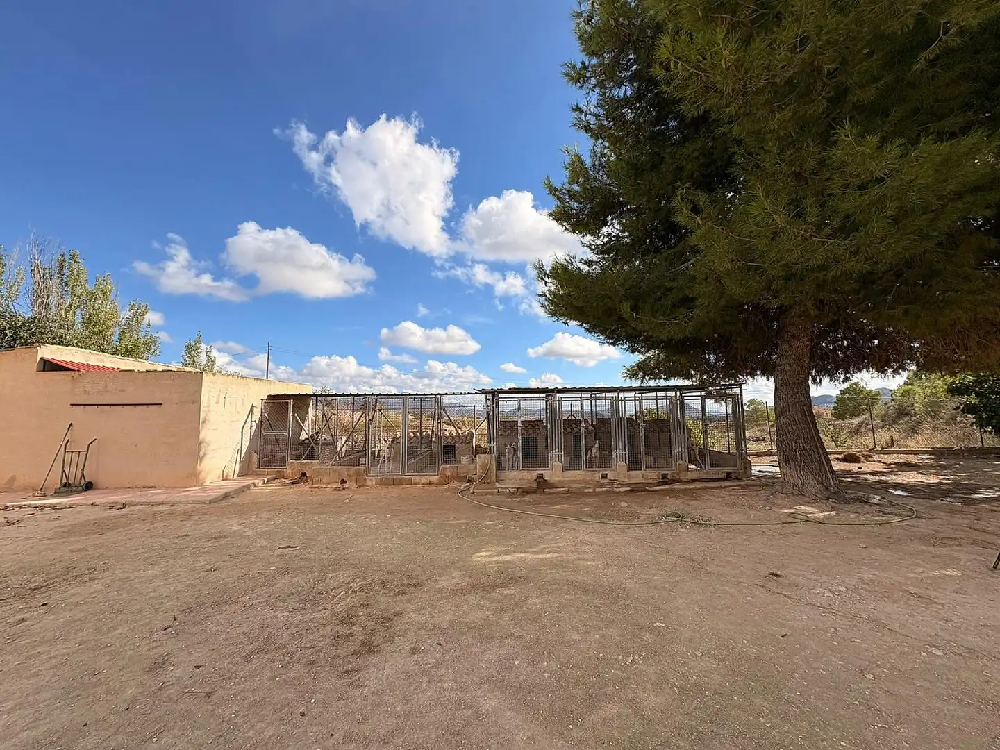 Villa à vendre à Monóvar  / Monòver, imagen 29