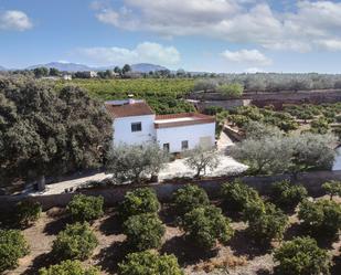 Vista exterior de Finca rústica en venda en Náquera amb Piscina