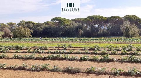 Photo 4 of Residential for sale in Llofriu, Palafrugell