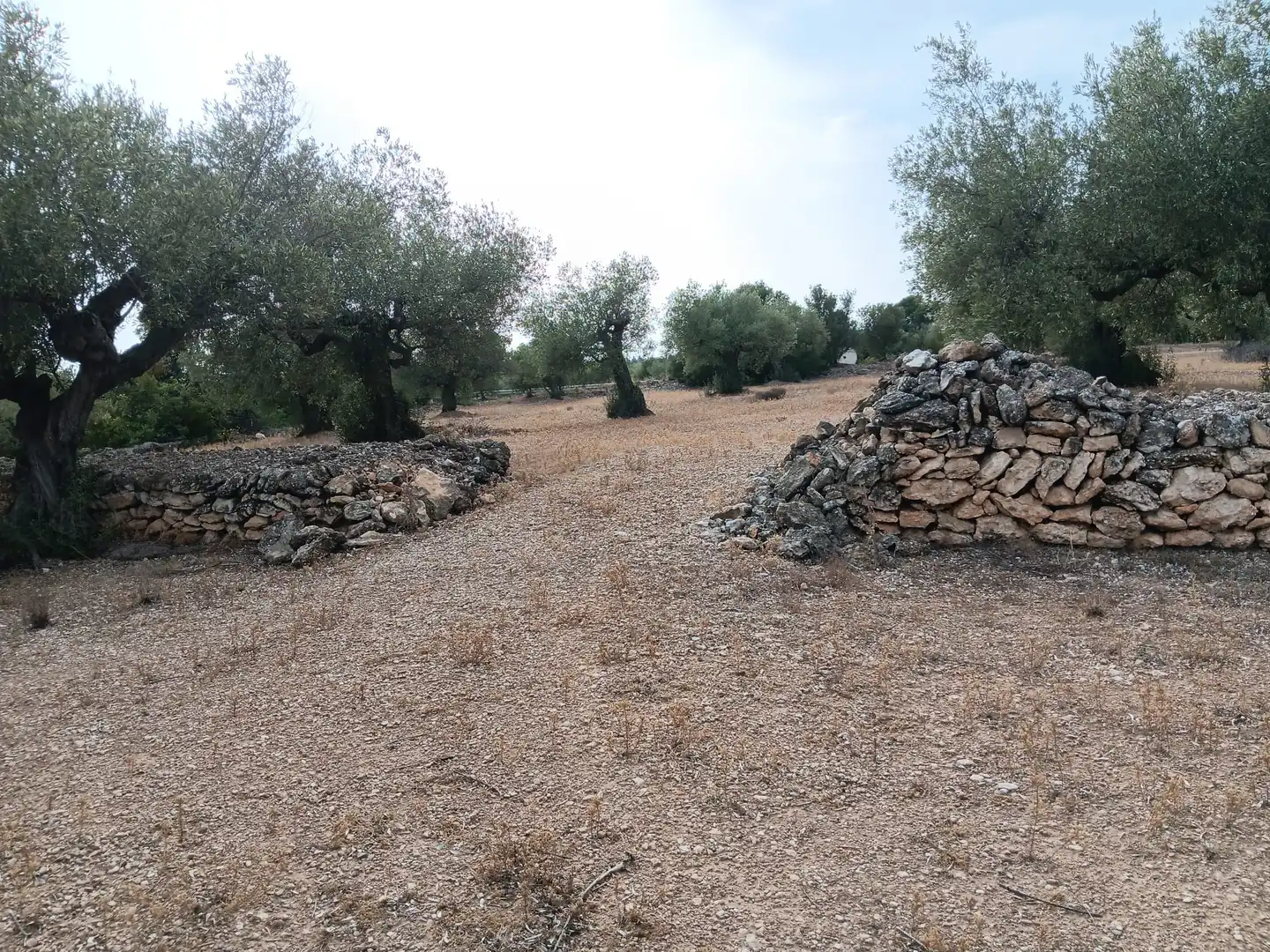 Terrenys i solars en venda a L'Ampolla, imagen 10