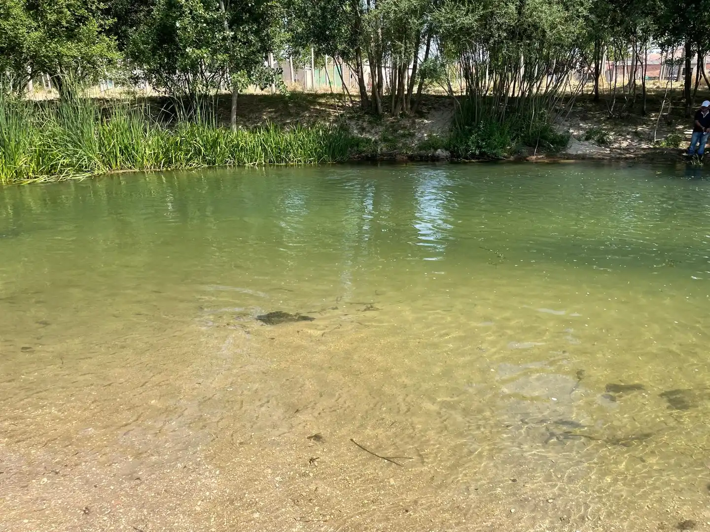Swimming pool of Country homes for sale in Cobos de Fuentidueña  with Heating, Storage room and Furnished