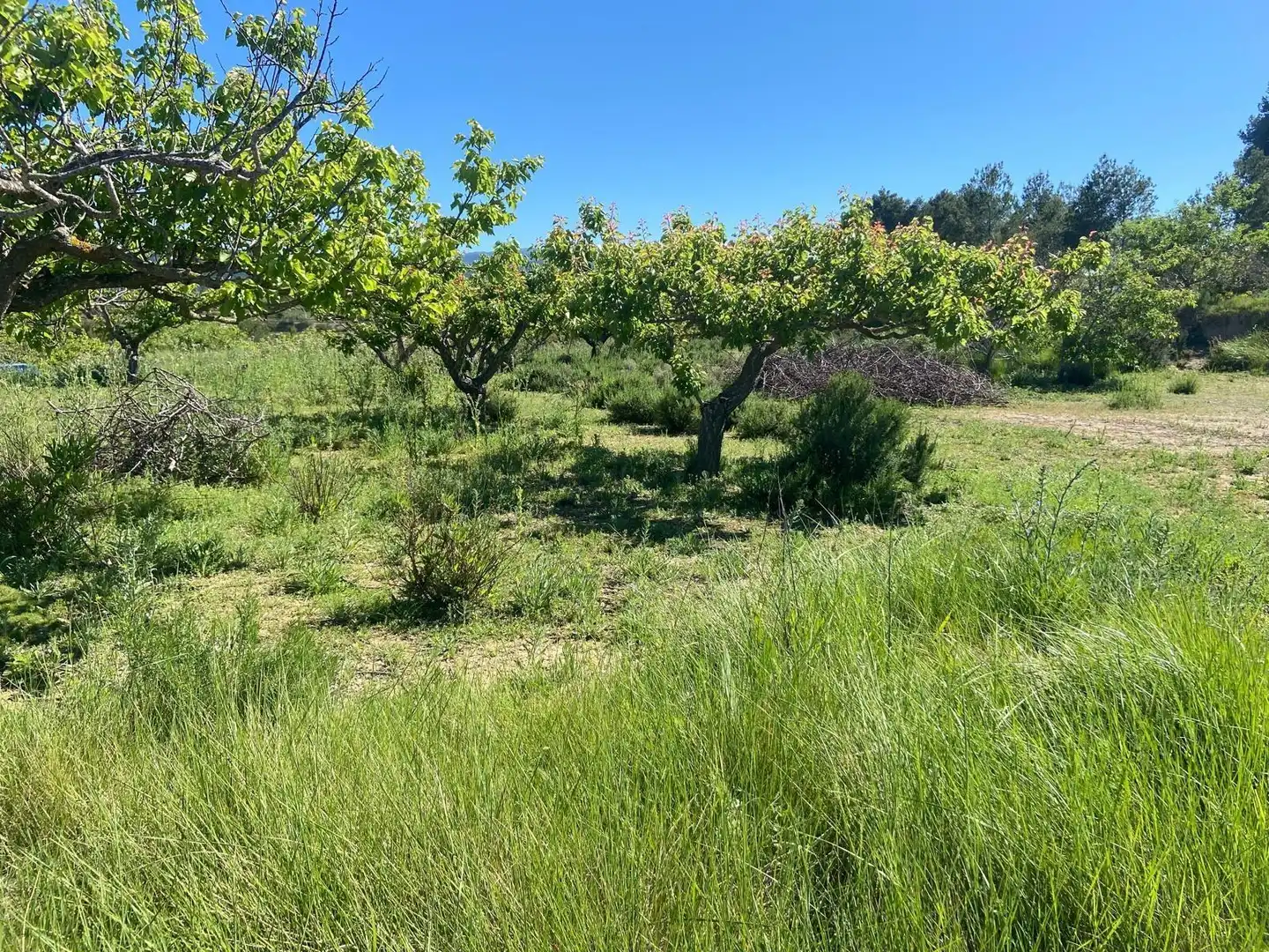 Wohnbaugrundstück zum Verkauf in El Palomar, imagen 9