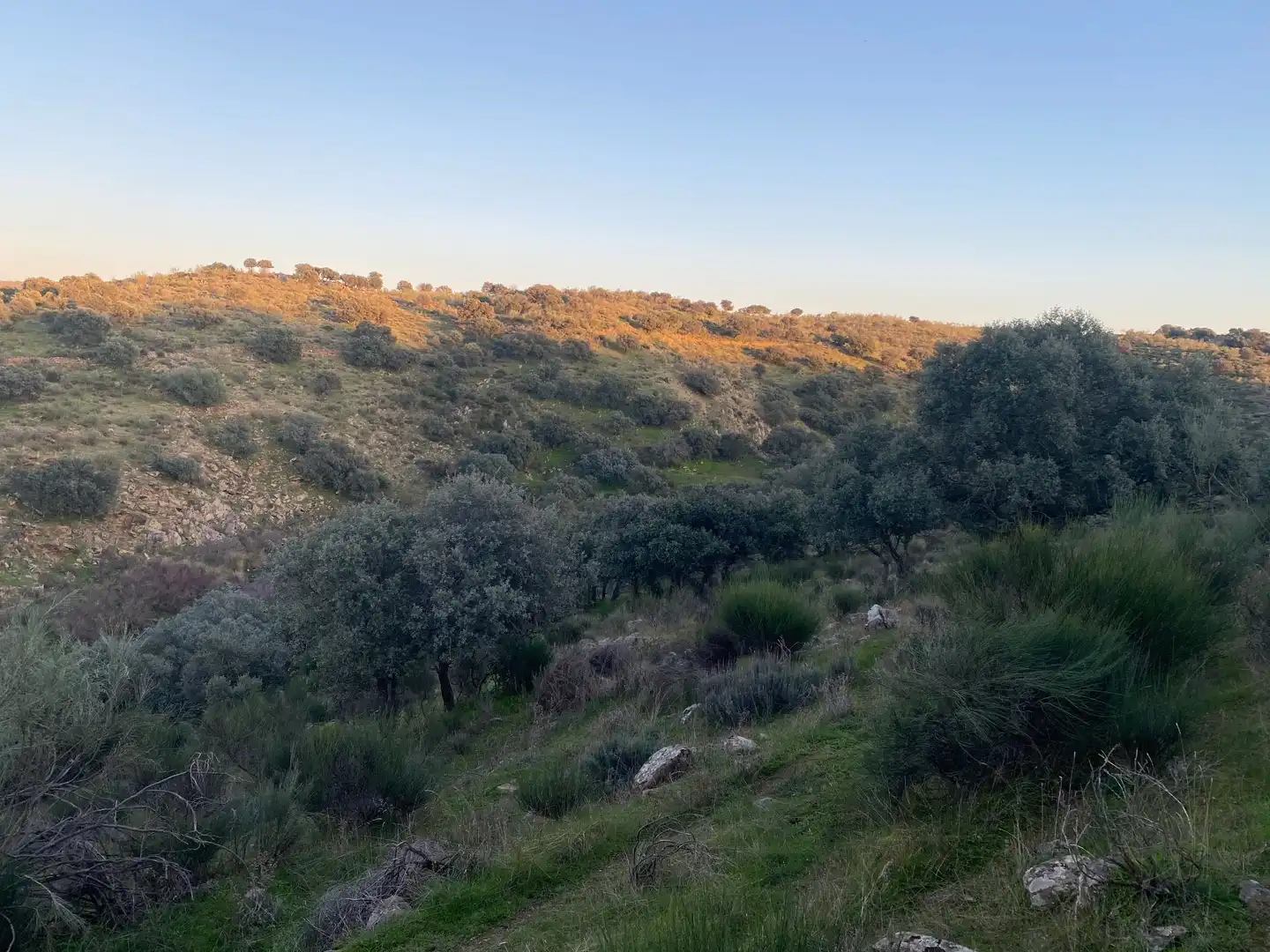 Terreni e lotti in vendita a Villar del Pedroso, imagen 5