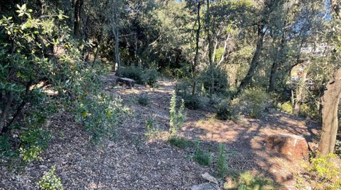 Terreno en venta en LES PEDRITXES, immagine 2