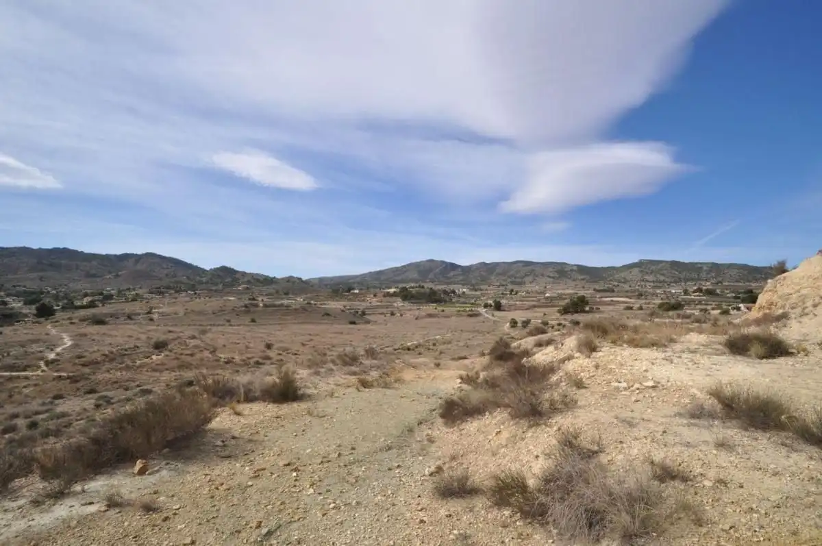 Detached house for sale in Monóvar  / Monòver, imagen 15