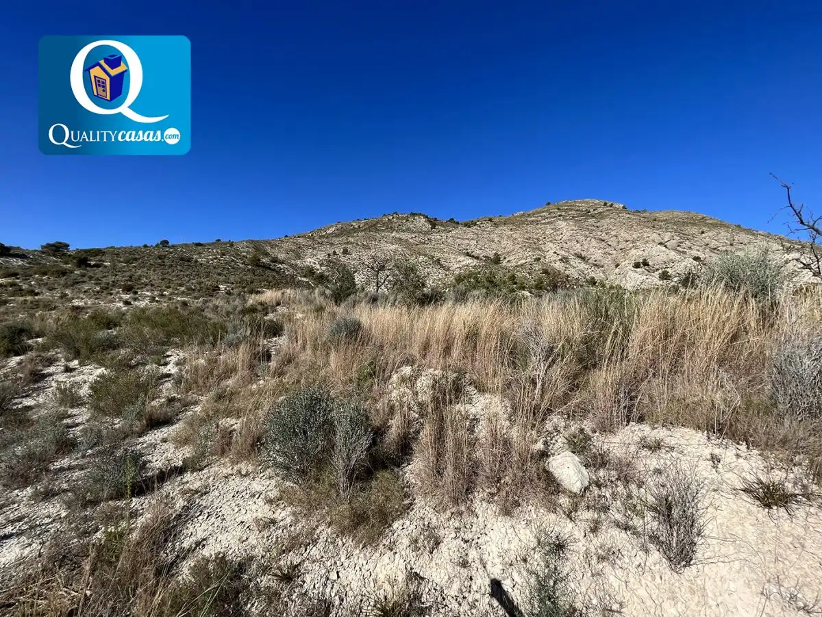 Terrenos y solares en venta en Orxeta, imagen 5