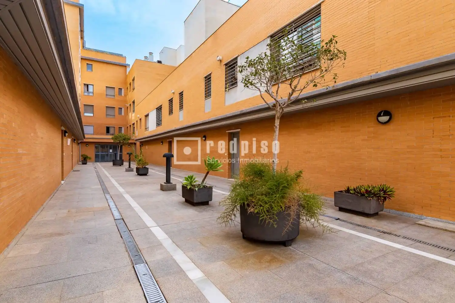 Exterior view of Flat for rent in Centro
