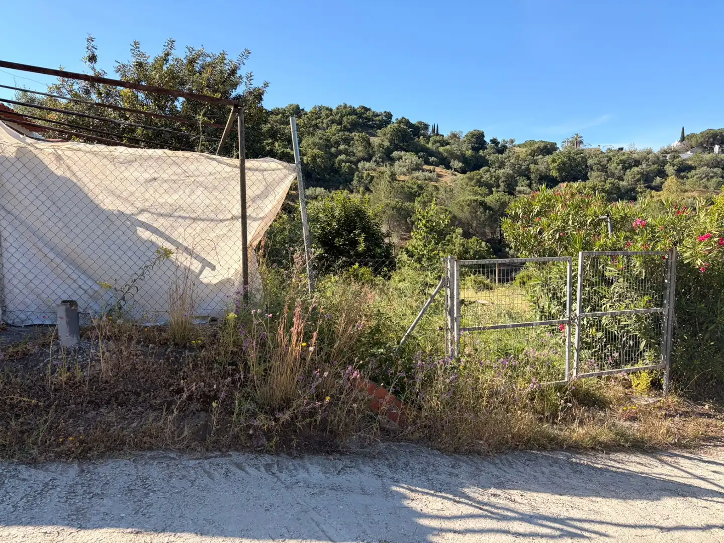 Terrains et parcelles à vendre à Ojén pueblo, imagen 4