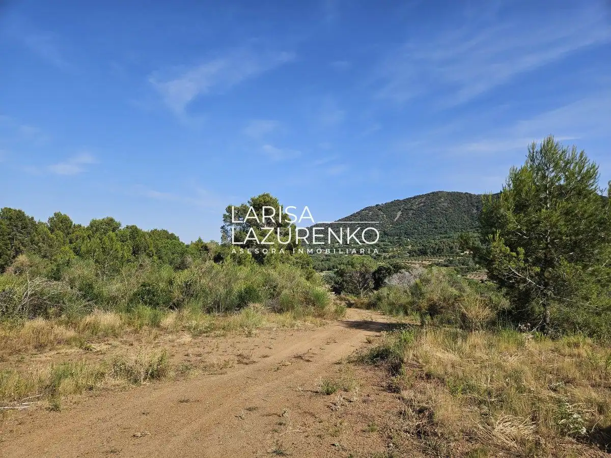 Finca rústica en venta en Alforja