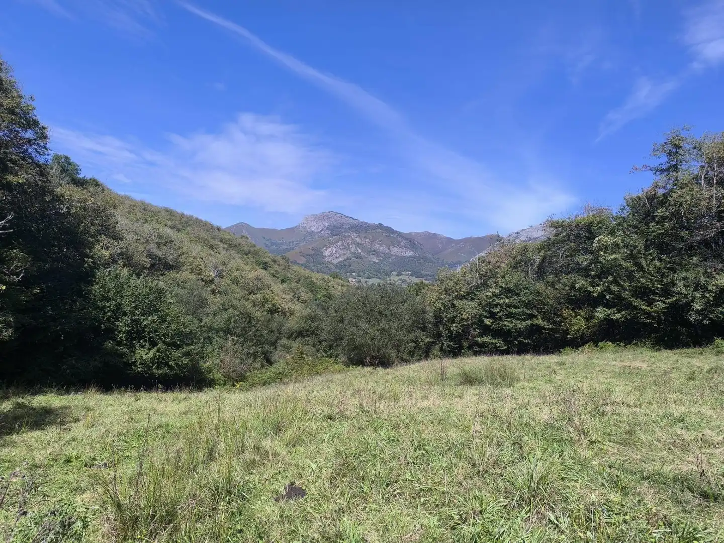 Vista exterior de Finca rústica en venta en Sobrescobio con Terraza, Trastero y Amueblado