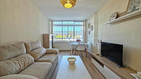 Photo 3 of Planta baja for rent in Mil Palmeras, Pilar de la Horadada