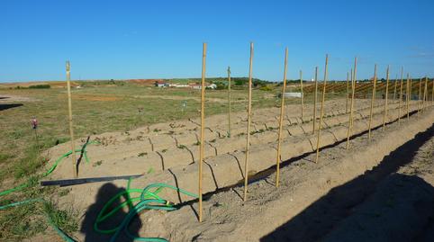 Photo 3 of House or chalet for sale in Calle de Andavias, 62, La Hiniesta , Zamora