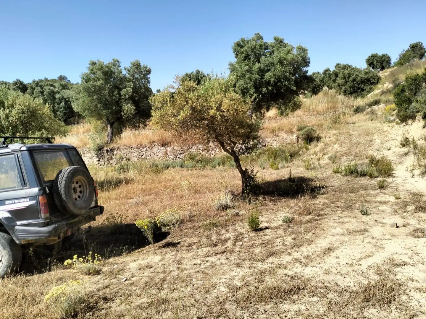 Terreno en venta en La Pobla de Massaluca